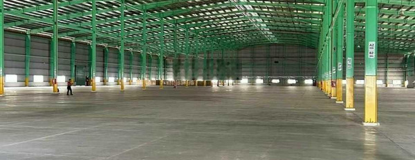 Cho thuê kho xưởng 25.500m2. Pháp lý hoàn chỉnh, công năng đầy đủ, Thuận An, Bình Dương -02