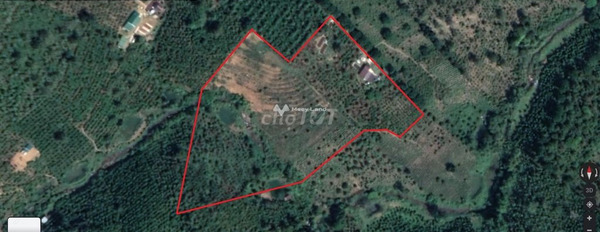 Mức giá 25 triệu/tháng cho thuê đất với diện tích chuẩn 21000m2 vị trí đẹp nằm ở Lộc Thanh, Lâm Đồng-02