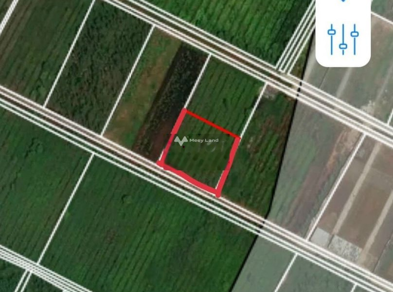 Chính chủ bán mảnh đất, 2438m2 giá gốc 17 tỷ vị trí thuận lợi ngay ở An Hạ, Phạm Văn Hai giao thông đông đúc-01