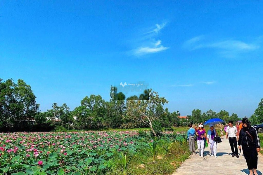 Vị trí mặt tiền tọa lạc ngay ở Hồ Sen, Hòa Tiến bán đất, giá khủng chỉ 350 triệu có diện tích trung bình 138m2-01