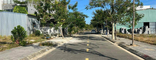 Cần bán đất thị xã Hương Thủy tỉnh Thừa Thiên Huế giá 25.0 triệu/m2-03