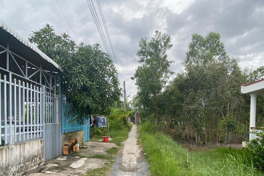 Cần bán đất nền tại gần cống Cà Mau, phường Tân Xuyên, Cà Mau-01
