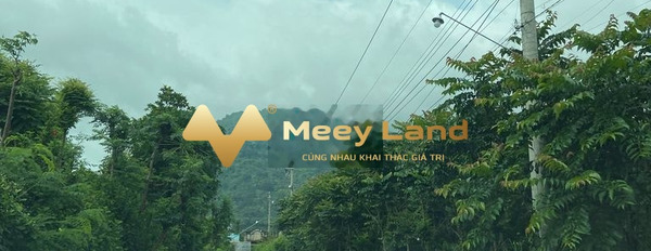 520 triệu bán đất có một dt sàn 100 m2 vị trí mặt tiền gần Huyện Xuân Lộc, Tỉnh Đồng Nai-02