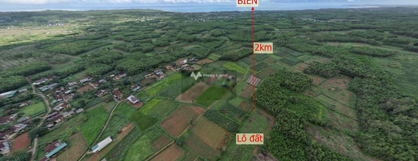 Giá cực rẻ 90 triệu bán đất diện tích thực 200m2 vị trí nằm ở Bình Sơn, Quảng Ngãi-03