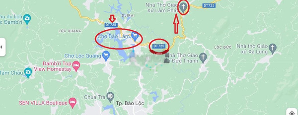 Bây giờ tôi bán mảnh đất, 6001m2 giá hạt dẻ từ 1.5 tỷ mặt tiền tọa lạc ở Bảo Lâm, Lâm Đồng, hướng Đông pháp lý nhanh-02