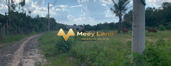 430 triệu bán đất có dt chuẩn 200 m2 vị trí đẹp tọa lạc ở Tân Hội, Tây Ninh-03