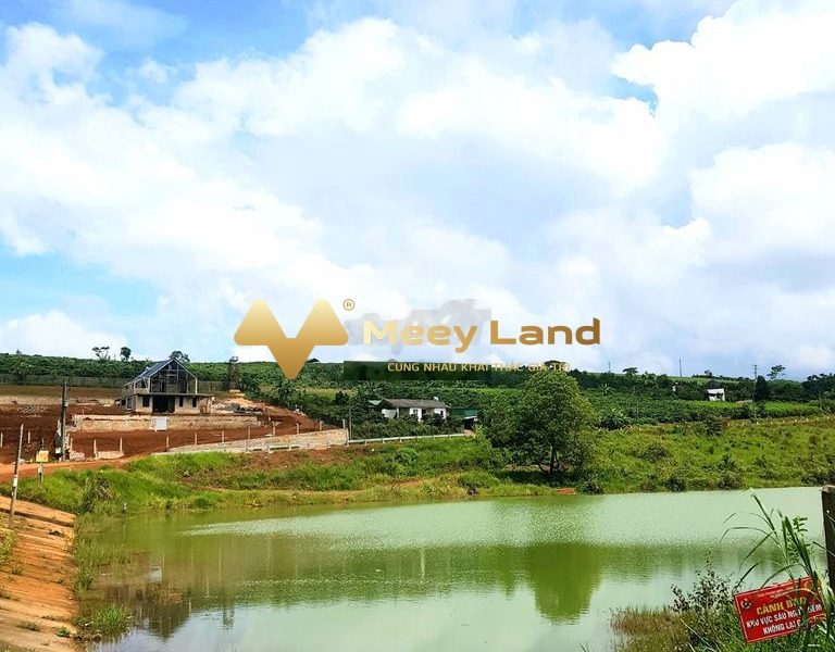 599 triệu bán đất có dt thực 175 m2 tọa lạc ở Đường Tôn Thất Thuyết, Tỉnh Lâm Đồng-01