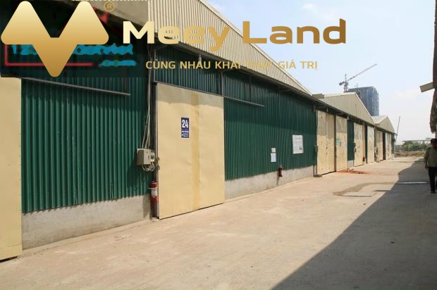 Hot cho thuê kho bãi với tổng diện tích 120m2 vị trí mặt tiền tọa lạc ở Cầu Bươu, Tân Triều