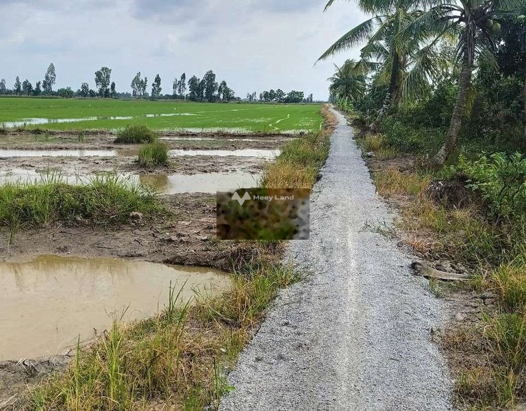 Thới Đông, Cờ Đỏ bán đất giá bán cực rẻ từ 260 triệu diện tích vừa phải 1000m2-01