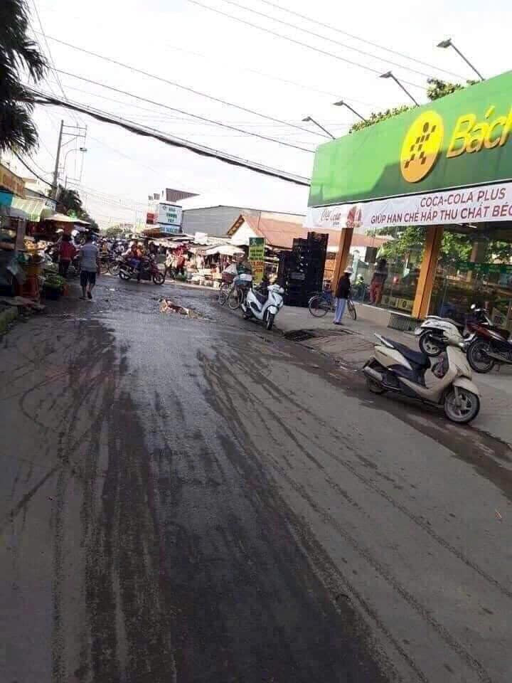 Bán đất huyện Bình Chánh thành phố Hồ Chí Minh giá 3.7 tỷ-0