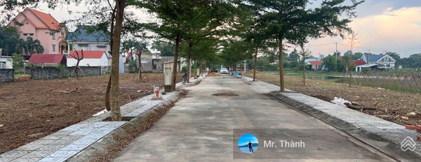 Hàng hiếm đất ở xây dựng full thổ 100m2, sổ hồng riêng đường Cây Da, X. Tân Phú Trung, Củ Chi -02