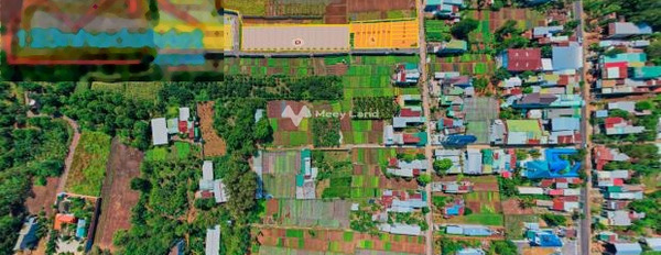 Cần xoay sở tiền trả nợ bán mảnh đất, 160m2 giá bán đề xuất chỉ 1.2 tỷ vị trí thuận lợi gần Chơn Thành, Bình Phước, lộ ngang 25 m cực kì sang trọng-02