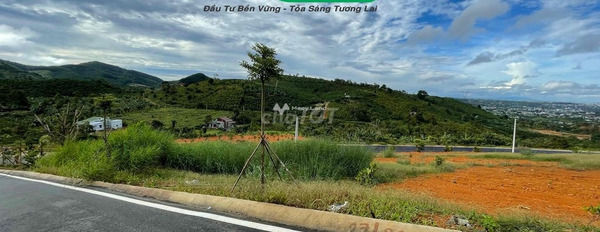 Vị trí mặt tiền ngay trên Bảo Lộc, Lâm Đồng bán đất, giá bán khuyến mãi 800 triệu diện tích dài 500m2-02