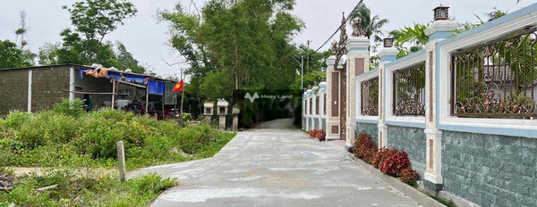 Vị trí thích hợp Phú Vang, Thừa Thiên Huế bán đất giá bán hạt dẻ chỉ 820 triệu với tổng diện tích 100m2-02