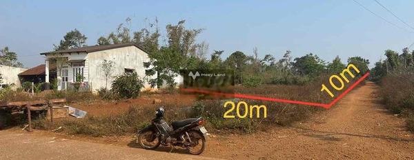 Krông Pắc, Đắk Lắk bán đất giá cực tốt chỉ 690 triệu diện tích quy đổi 200m2-02