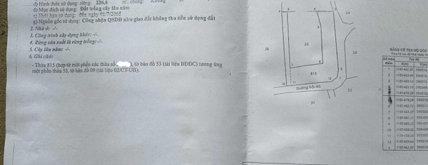 Nhà 426m2 góc 2 mặt tiền, hẻm xe hơi, thị trấn Tân Túc, Bình Chánh -02