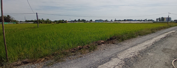 Kẹt tiền cần bán đất Long Khê,Long An 5 công đất trồng lúa-03