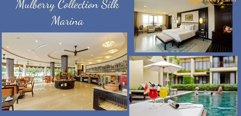 Cho thuê Mulberry Collection Silk Marina
