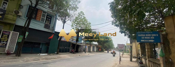 1.7 tỷ bán đất dt chuẩn 42m2 vị trí tiện lợi Lạc Thị, Hà Nội-03