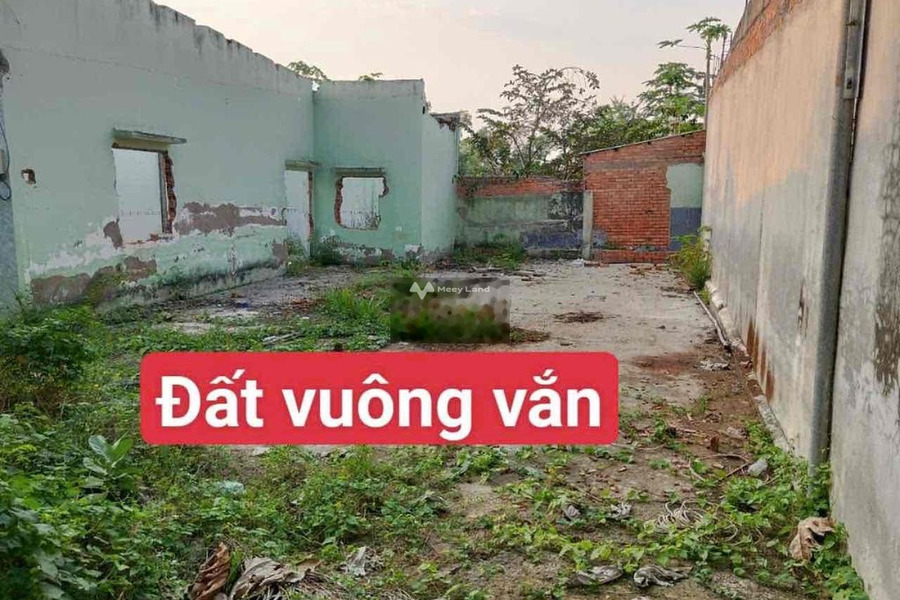 Vị trí phát triển Hưng Long, Hồ Chí Minh bán đất giá cực mềm chỉ 2.8 tỷ có diện tích tổng là 300m2-01