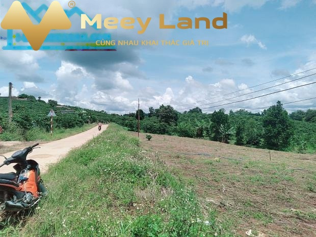 Chính chủ tôi bán mảnh đất, 370 m2 giá bán gốc 575 triệu vị trí nằm tại Lâm Hà, Lâm Đồng giá tốt-01