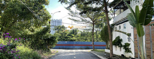 Phú Mỹ Chợ Lớn Đường Phạm Hữu Lầu, Quận 7 bán đất giá siêu khủng 11 tỷ có một dt 133m2-03