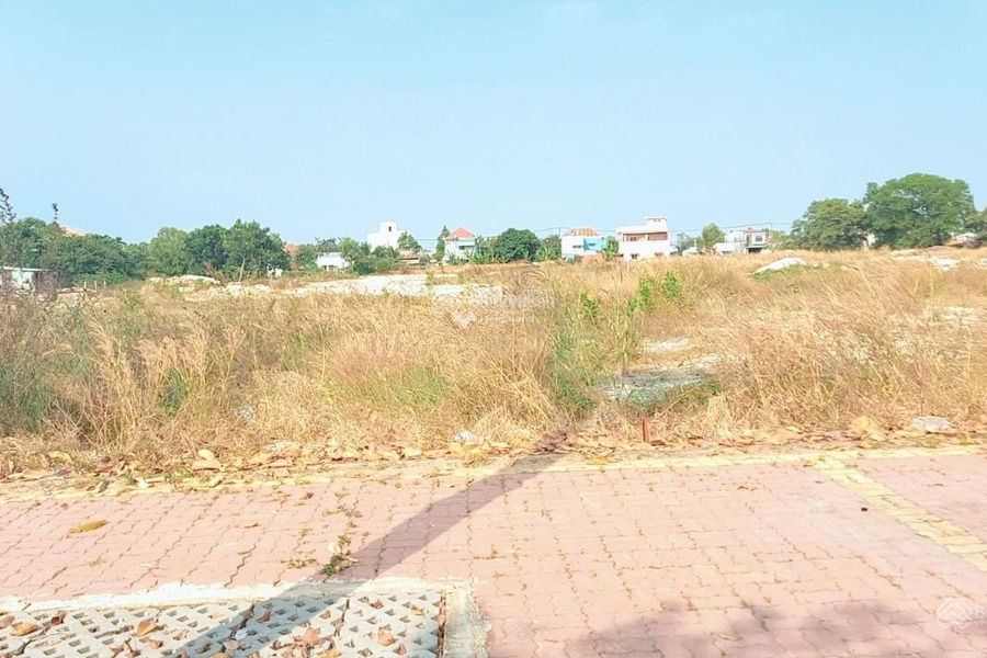Bán đất thị trấn Long Điền, Bà Rịa Vũng Tàu DT 100m2, ở ngay khu biệt thự, giá 2,3 tỷ -01