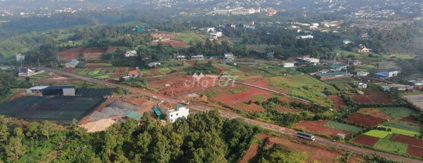 14 tỷ bán đất với diện tích tiêu chuẩn 1431m2 vị trí mặt tiền nằm trên Lộc Sơn, Lâm Đồng-03