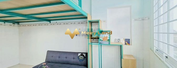 Cho thuê căn hộ mới xây có cửa sổ, ban công ở Tân Hương, Tân Phú-03