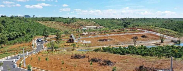 Cần bán đất tại Lộc Phú, Bảo Lâm. Diện tích 203m2-03