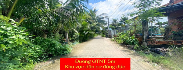 Từ 1.25 tỷ bán đất diện tích tầm trung 3999m2 vị trí mặt tiền ngay Đt 833B, Lạc Tấn-03