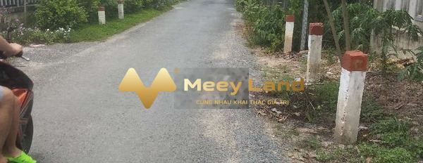 Vị trí thuận lợi ở Xã Tường Lộc, Huyện Tam Bình bán đất, giá bán mua liền chỉ 730 triệu dt dài 381 m2-02