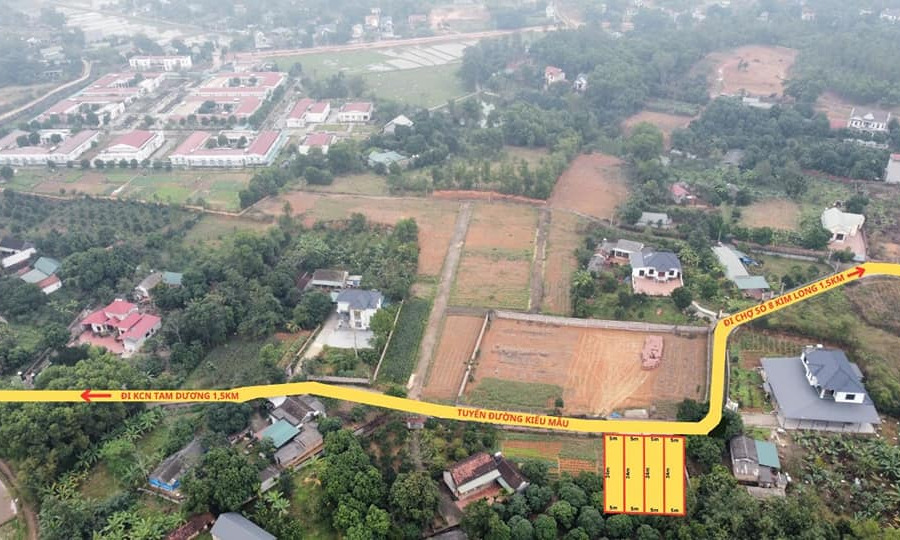 Cần bán đất huyện Tam Dương tỉnh Vĩnh Phúc giá 500 triệu-01