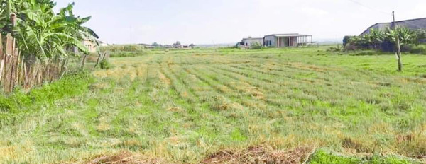 Bán đất đầu tư diện tích rộng tại xã Vĩnh Sơn, huyện Vĩnh Linh, Quảng Trị-02