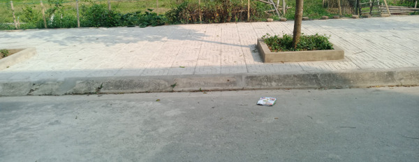 Bán lô đất ngay tại đường CSEDP, cách đường Lê Lai, thành phố Thanh Hóa chỉ 20m-03