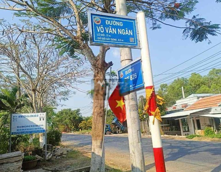 Nhà có 2 phòng ngủ bán nhà bán ngay với giá thương mại chỉ 1 tỷ có diện tích chung 348m2 vị trí đẹp tại Võ Văn Ngân, Cần Đước-01