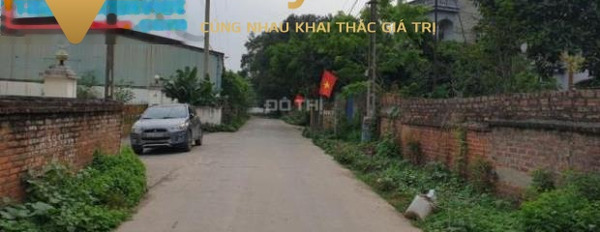 Bán biệt thự bán ngay với giá khởi đầu từ 2 tỷ, có diện tích là 380 m2, vị trí đẹp tọa lạc ở Huyện Sóc Sơn, Hà Nội-03