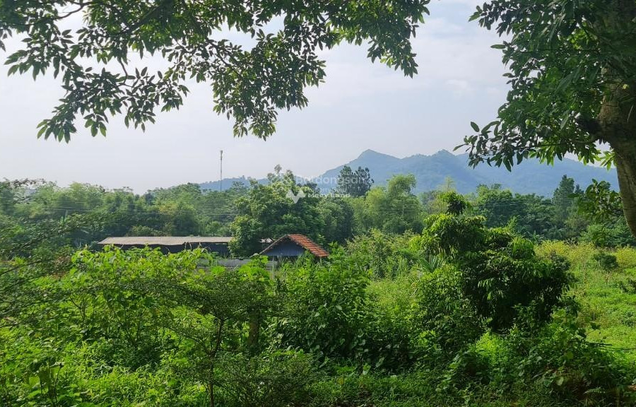 Vị trí mặt tiền nằm ở Yên Bài, Hà Nội bán đất giá mua ngay từ 5.46 tỷ diện tích tầm trung 1300m2-01