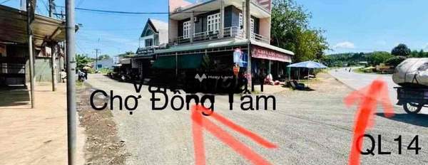 Khoảng 470 triệu bán đất diện tích chung là 230m2 tọa lạc ngay trên Đồng Phú, Bình Phước, hướng Đông Bắc-03