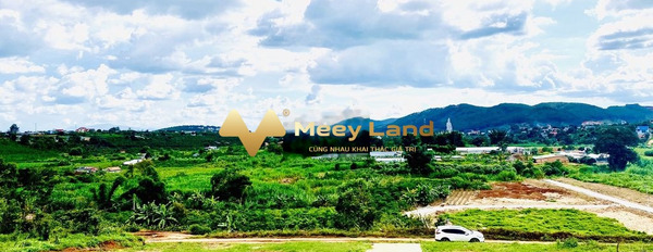 Bán đất 320 triệu Lâm Hà, Lâm Đồng có một dt 100 m2-03