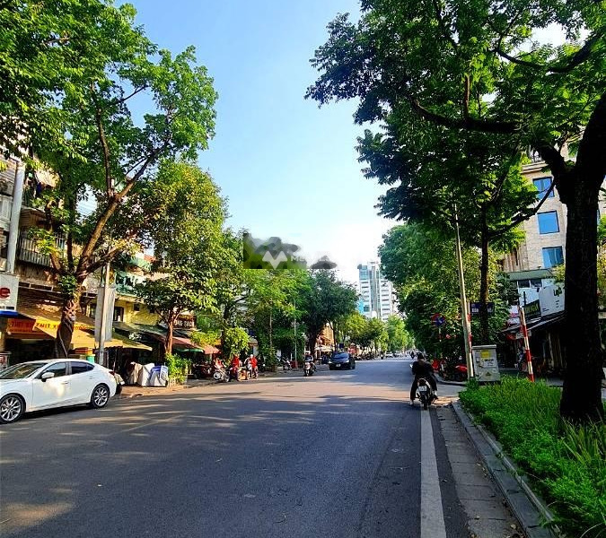 Bán nhà diện tích 61m2 vị trí thuận lợi ở Quang Trung, Hà Nội-01