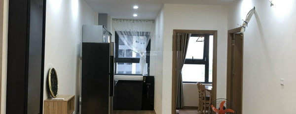 Chung cư 2 phòng ngủ, cho thuê căn hộ vị trí đặt ở tại Mê Linh, Liên Chiểu, căn hộ có tổng 2 PN, 2 WC không tiếp trung gian-02