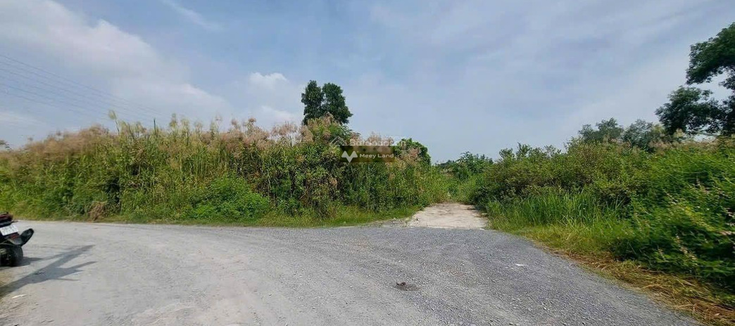 Vị trí đặt tọa lạc tại Nguyễn Thị Tư, Phú Hữu cho thuê kho bãi 14000m2 giá thuê công khai 350 triệu/tháng hãy nhấc máy gọi ngay