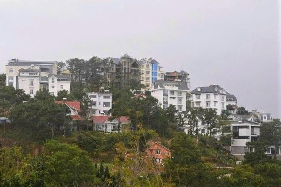 Bán nhà ở diện tích khoảng 1580m2 bán ngay với giá tốt nhất chỉ 38 tỷ mặt tiền nằm ngay trên Đà Lạt, Lâm Đồng, lộ chính rộng 20 m-01