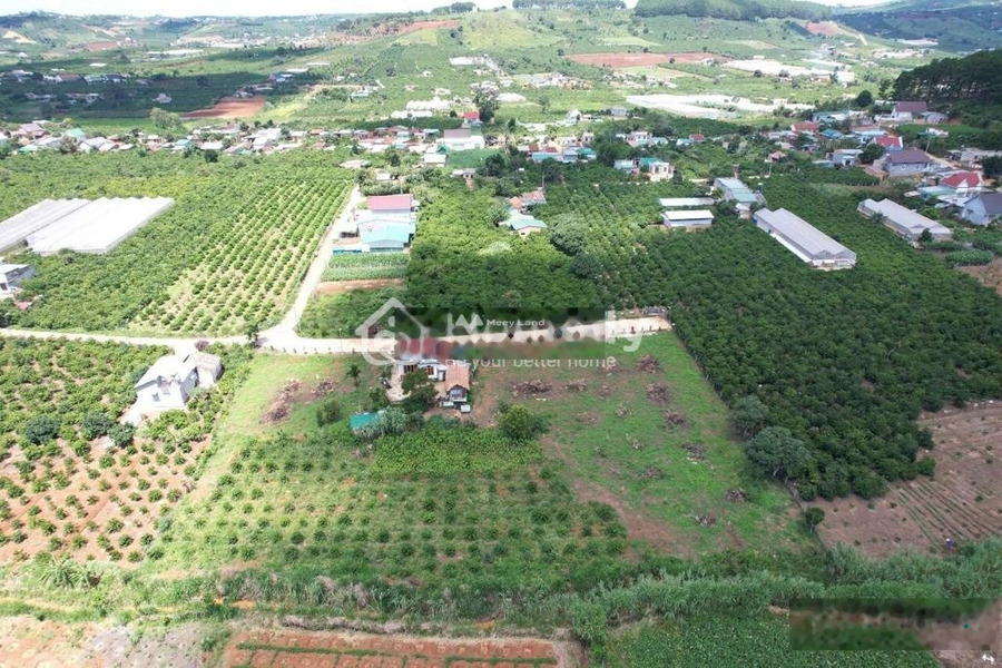 Vị trí đặt vị trí nằm trên Mê Linh, Lâm Hà bán đất giá bán cực tốt chỉ 1.3 tỷ diện tích tổng 360m2-01