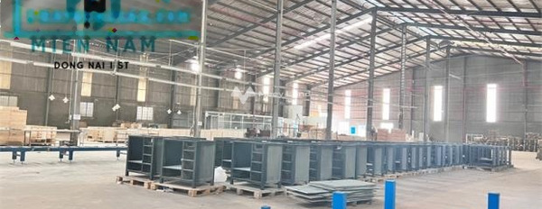 Mặt tiền nằm ở Tân An, Vĩnh Cửu cho thuê kho bãi 8500m2 thuê ngay với giá hữu nghị từ 220 triệu/tháng lh ngay kẻo lỡ-02