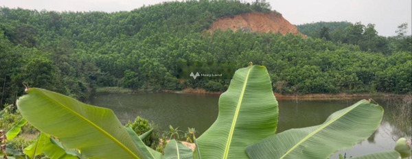 Vị trí nằm ngay Nguyễn Tất Thành, Hòa Vang bán đất giá mong muốn 1.05 tỷ diện tích đúng với trên ảnh 10000m2-03
