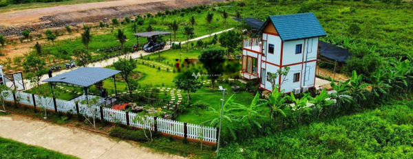 Giảm giá mạnh, chủ cần ra đi nhanh farm đẹp 4.887m2 Diên Đồng giao thông đông đúc-03