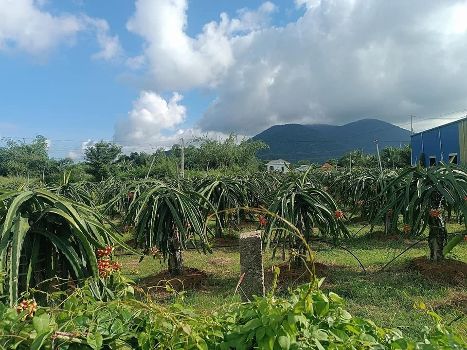 Bán đất quận 7 thành phố Hồ Chí Minh giá 800.0 triệu-1