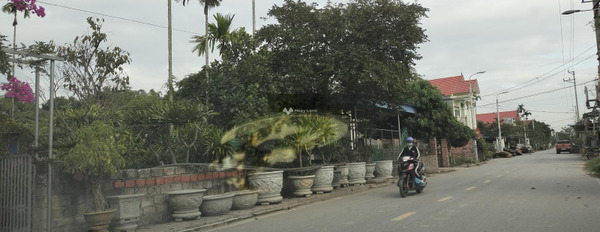 Chuyển công tác bán đất Chính Mỹ, Hải Phòng giá bán cơ bản 1.45 tỷ có diện tích khoảng 100m2-02